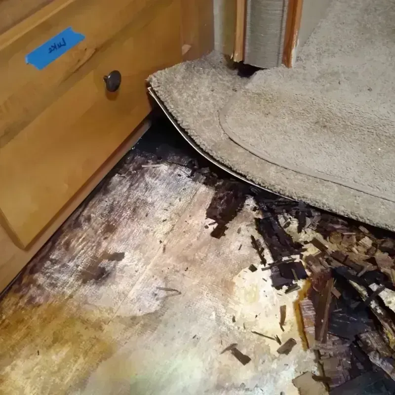 Wood Floor Water Damage in Baldwin County, AL